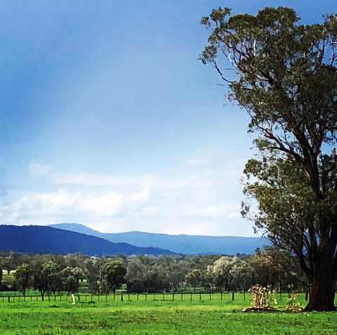 Fourjay Farmstay - Broome Tourism 0