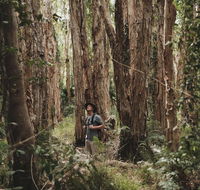 Habitat Noosa - Broome Tourism