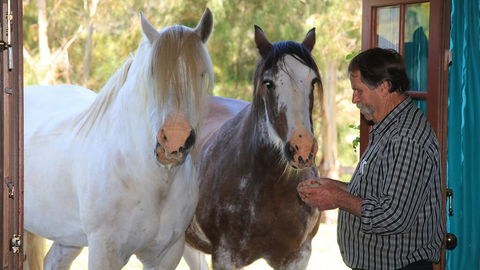 Hatchers Richmond Manor - Broome Tourism 1