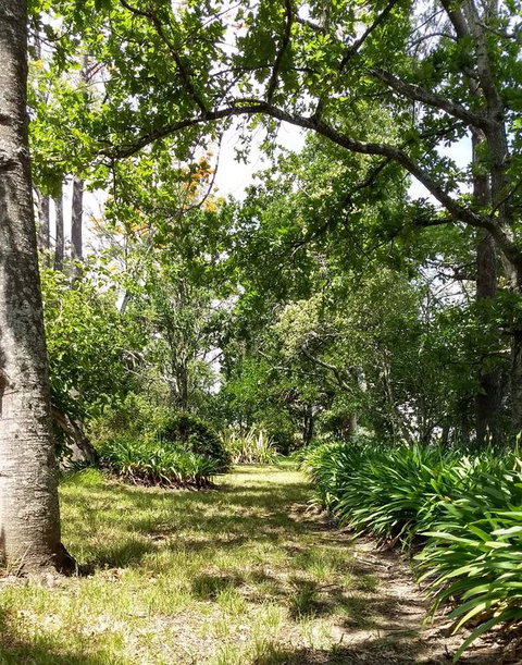 Hollyhill Cottage - Broome Tourism 3