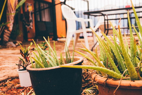 JJs Backpackers Hostel - Broome Tourism 2