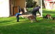 Kalgan River Chalets And Caravan Park - thumb 0