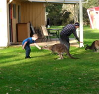 Kalgan River Chalets and Caravan Park - Broome Tourism