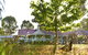 Karri House. Eat - Stay - Love - thumb 0