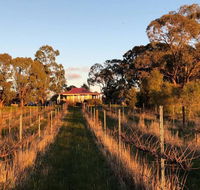 Lillicur Vineyard BB - Broome Tourism