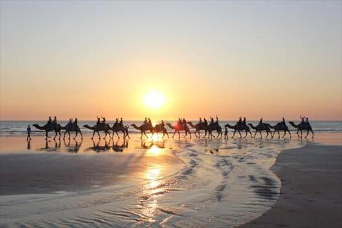 Luxury Executive Apartment At Broome Cable Beach - Broome Tourism 1