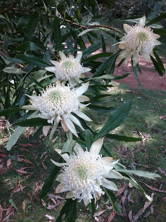 Hallston VIC Broome Tourism