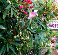 Mercury motor inn - Broome Tourism