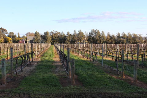Milawa Vineyard Views - Guesthouse 1 - Broome Tourism 1