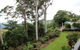 Mt Tamborine Motel - thumb 2