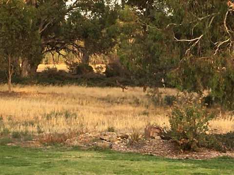 Murrord Wetlands - Broome Tourism 3