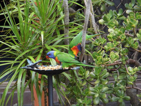 Nanango Fitzroy Motel - Broome Tourism 2