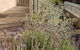 Spencer Cottage - thumb 11