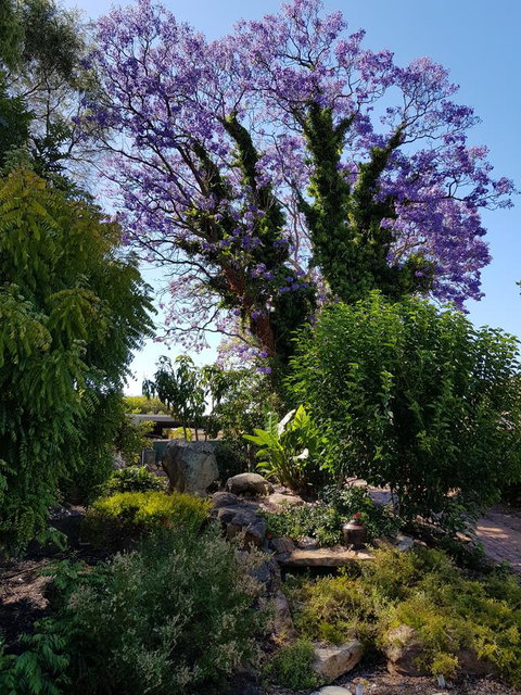 Jacaranda Hideaway Bed & Breakfast - Broome Tourism 10