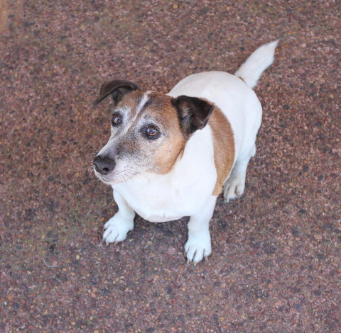 Jacaranda Hideaway Bed & Breakfast - Broome Tourism 13