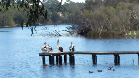 Jacaranda Hideaway Bed & Breakfast - Broome Tourism 18