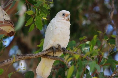 Margaret River Hideaway & Farmstay - Broome Tourism 26