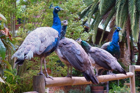 Margaret River Hideaway & Farmstay - Broome Tourism 19
