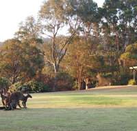 Riverside Retreat Chalets Walpole - Broome Tourism