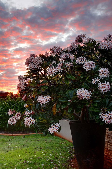 Mantra Frangipani Broome - Broome Tourism 35