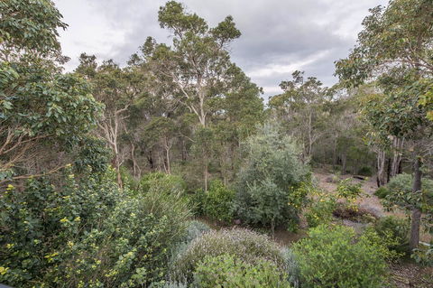 A Hidden Bush Delight - Broome Tourism 7