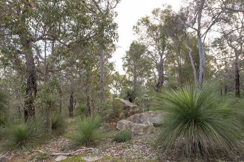 A Hidden Bush Delight - Broome Tourism 23