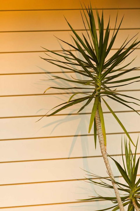 The Billi Resort - Broome Tourism 44