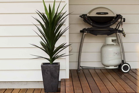 The Billi Resort - Broome Tourism 30