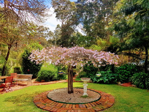 Adamsons Riverside Accommodation - Broome Tourism 25