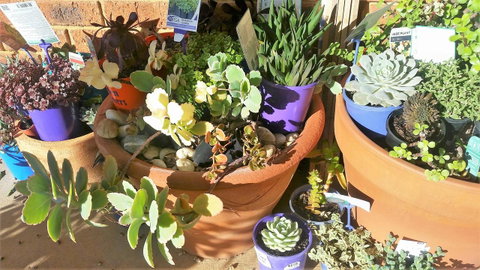 Quest Yelverton Kalgoorlie - Broome Tourism 11