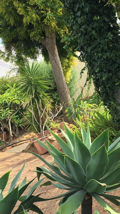 Armadale Cottage Bed & Breakfast - Broome Tourism 1
