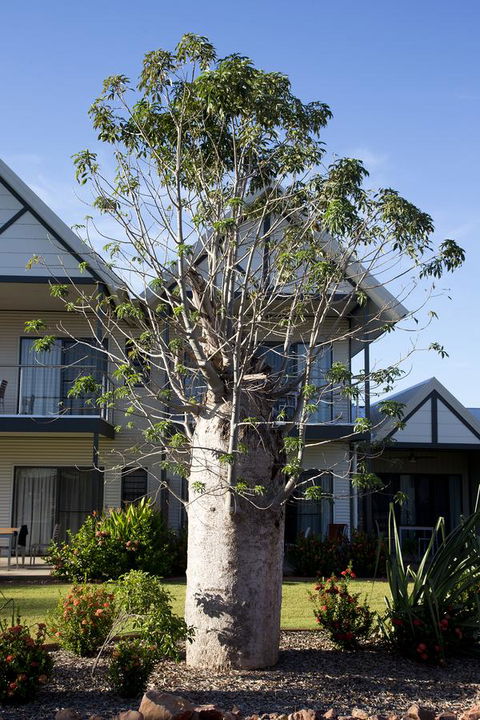 Freshwater East Kimberley Apartments - Broome Tourism 18