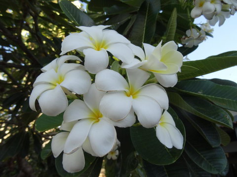 Broome - Broome Tourism 3