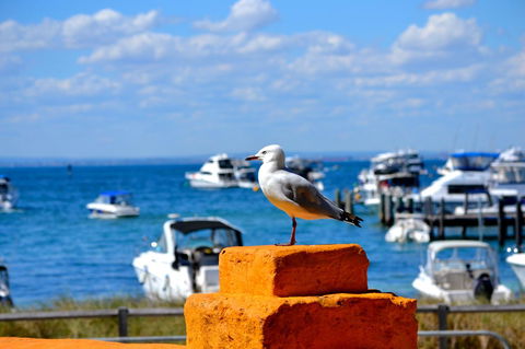 Palms Bed & Breakfast - Broome Tourism 25