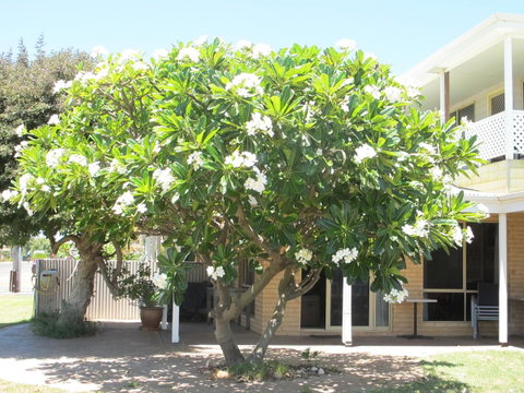 Kalbarri Riverfront Unit - Broome Tourism 6