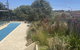 Rockpool - thumb 26