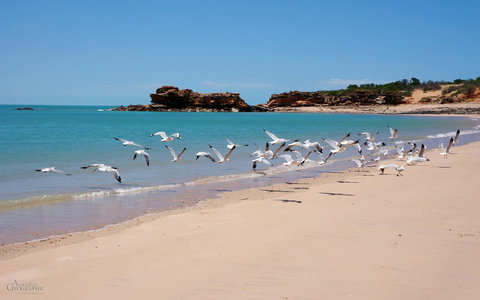 Apartments At Blue Seas Resort - Broome Tourism 25