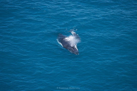 Apartments At Blue Seas Resort - Broome Tourism 26