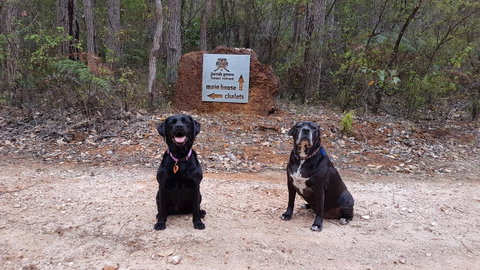 Jarrah Grove Forest Retreat - Broome Tourism 21