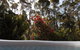 Jarrah Grove Forest Retreat - thumb 13