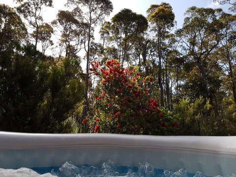 Jarrah Grove Forest Retreat - Broome Tourism 13