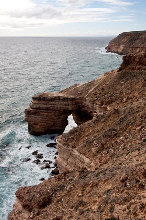 Kalbarri Palm Resort - Broome Tourism 32