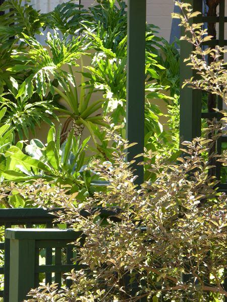 Kalbarri Beach Resort - Broome Tourism 32
