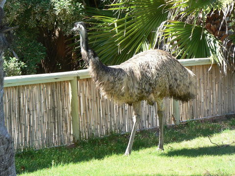 Wildsights Villas - Broome Tourism 29