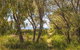 Seahaven - thumb 7