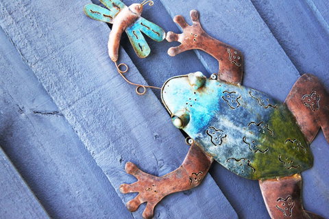 Aquatic Visions - Broome Tourism 44