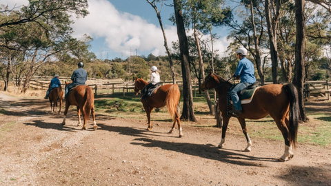 Country Club Tasmania - Broome Tourism 7