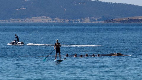 The Ultimate Beach House - Broome Tourism 19