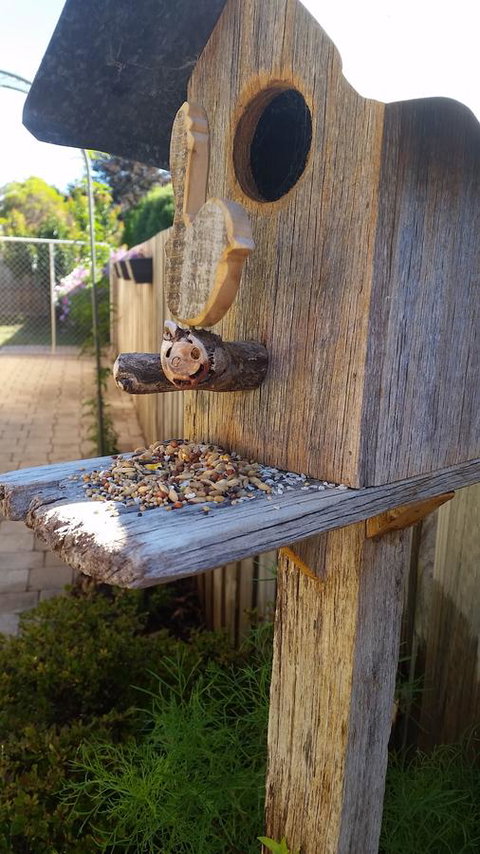 Driftwood-Cottage - Broome Tourism 29