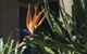 Russell House - thumb 2